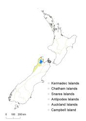 Veronica calcicola distribution map based on databased records at AK, CHR & WELT.
 Image: K.Boardman © Landcare Research 2022 CC-BY 4.0